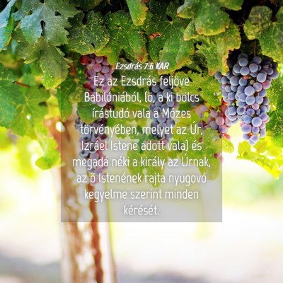 Picture 04 - Ezsdrás 7:6 KAR - Ez az Ezsdrás feljöve Babilóniából, (õ, a - Bible Verse Picture