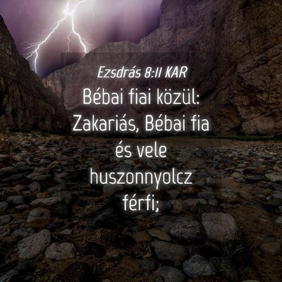 Picture 04 - Ezsdrás 8:11 KAR - Bébai fiai közül: Zakariás, Bébai fia és - Bible Verse Picture