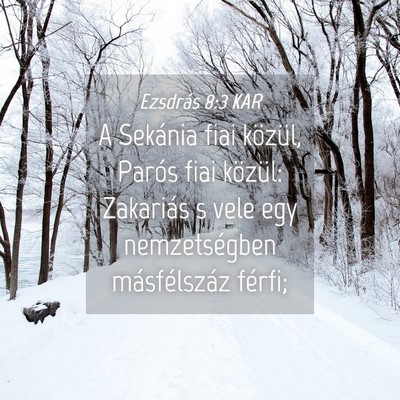 Picture 04 - Ezsdrás 8:3 KAR - A Sekánia fiai közül, Parós fiai közül: - Bible Verse Picture