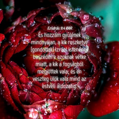 Picture 04 - Ezsdrás 9:4 KAR - És hozzám gyûlének mindnyájan, a kik - Bible Verse Picture