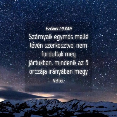 Picture 04 - Ezékiel 1:9 KAR - Szárnyaik egymás mellé lévén szerkesztve, - Bible Verse Picture