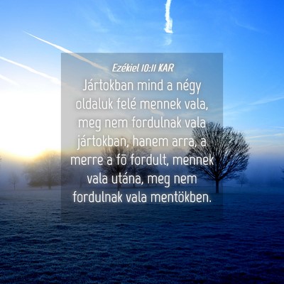 Picture 04 - Ezékiel 10:11 KAR - Jártokban mind a négy oldaluk felé mennek - Bible Verse Picture