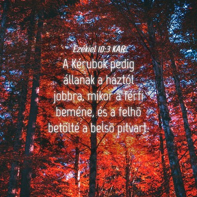 Picture 04 - Ezékiel 10:3 KAR - A Kérubok pedig állanak a háztól jobbra, - Bible Verse Picture