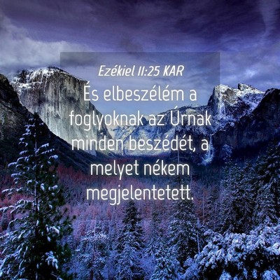Picture 04 - Ezékiel 11:25 KAR - És elbeszélém a foglyoknak az Úrnak minden - Bible Verse Picture