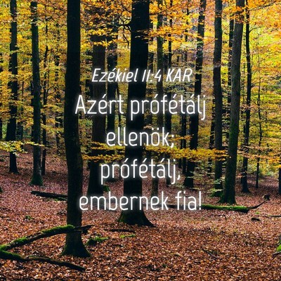 Picture 04 - Ezékiel 11:4 KAR - Azért prófétálj ellenök; prófétálj, - Bible Verse Picture