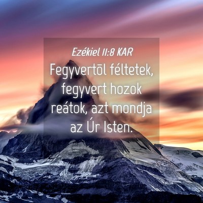 Picture 04 - Ezékiel 11:8 KAR - Fegyvertõl féltetek, fegyvert hozok reátok, - Bible Verse Picture