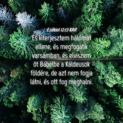 Picture 04 - Ezékiel 12:13 KAR - És kiterjesztem hálómat ellene, és megfogatik - Bible Verse Picture
