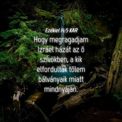 Picture 04 - Ezékiel 14:5 KAR - Hogy megragadjam Izráel házát az õ - Bible Verse Picture