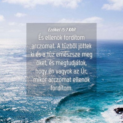 Picture 04 - Ezékiel 15:7 KAR - És ellenök fordítom arczomat. A tûzbõl - Bible Verse Picture
