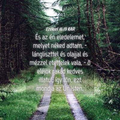 Picture 04 - Ezékiel 16:19 KAR - És az én eledelemet, melyet néked adtam, - - Bible Verse Picture