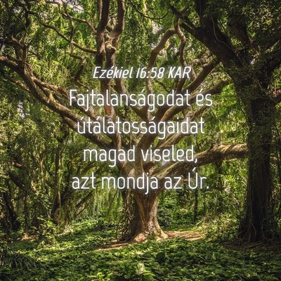 Picture 04 - Ezékiel 16:58 KAR - Fajtalanságodat és útálatosságaidat magad - Bible Verse Picture