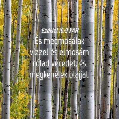 Picture 04 - Ezékiel 16:9 KAR - És megmosálak vízzel és elmosám rólad - Bible Verse Picture