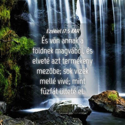 Picture 04 - Ezékiel 17:5 KAR - És võn annak a földnek magvából, és elveté - Bible Verse Picture