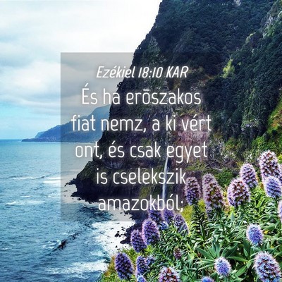 Picture 04 - Ezékiel 18:10 KAR - És ha erõszakos fiat nemz, a ki vért ont, és - Bible Verse Picture