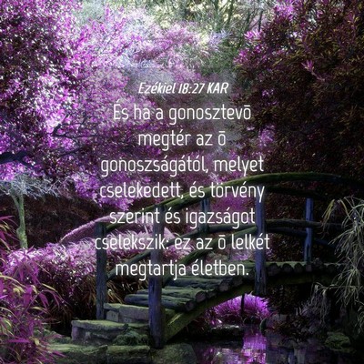 Picture 04 - Ezékiel 18:27 KAR - És ha a gonosztevõ megtér az õ - Bible Verse Picture