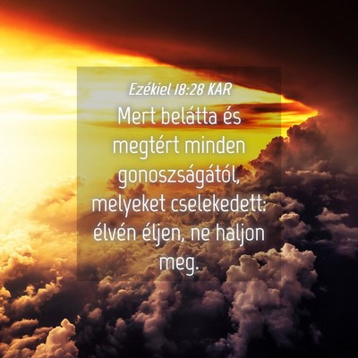 Picture 04 - Ezékiel 18:28 KAR - Mert belátta és megtért minden - Bible Verse Picture