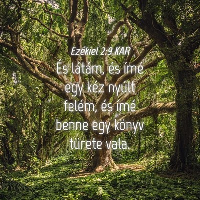Picture 04 - Ezékiel 2:9 KAR - És látám, és ímé egy kéz nyúlt felém, - Bible Verse Picture