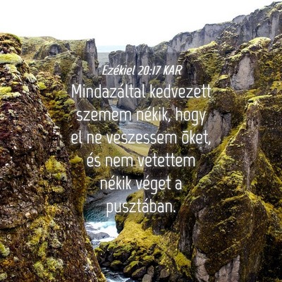 Picture 04 - Ezékiel 20:17 KAR - Mindazáltal kedvezett szemem nékik, hogy el ne - Bible Verse Picture