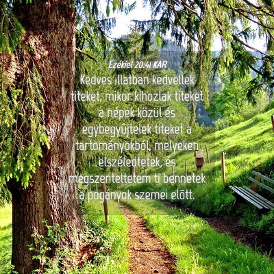 Picture 04 - Ezékiel 20:41 KAR - Kedves illatban kedvellek titeket, mikor kihozlak - Bible Verse Picture
