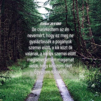 Picture 04 - Ezékiel 20:9 KAR - De cselekedtem az én nevemért, hogy ez meg ne - Bible Verse Picture