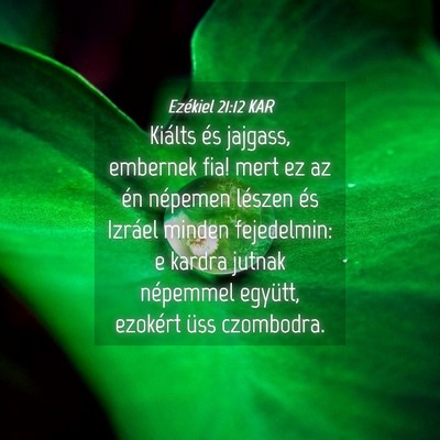 Picture 04 - Ezékiel 21:12 KAR - Kiálts és jajgass, embernek fia! mert ez az én - Bible Verse Picture