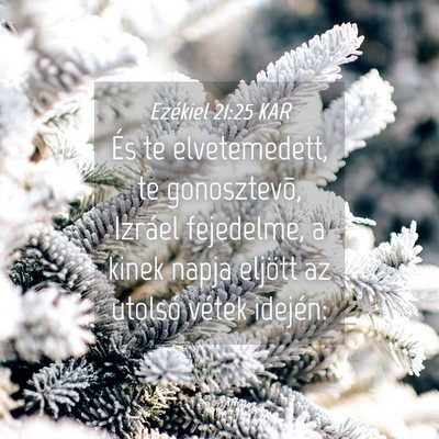 Picture 04 - Ezékiel 21:25 KAR - És te elvetemedett, te gonosztevõ, Izráel - Bible Verse Picture
