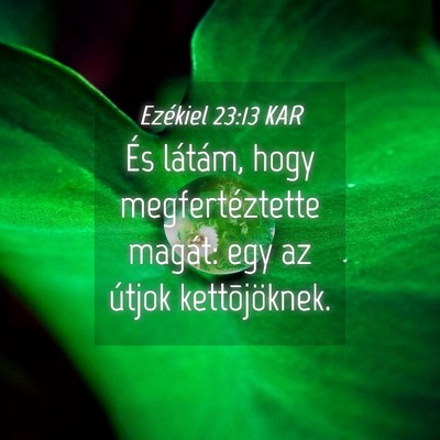 Picture 04 - Ezékiel 23:13 KAR - És látám, hogy megfertéztette magát: egy az - Bible Verse Picture