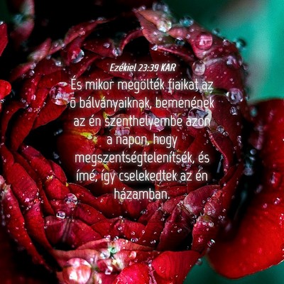 Picture 04 - Ezékiel 23:39 KAR - És mikor megölték fiaikat az õ - Bible Verse Picture