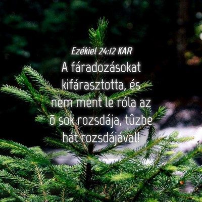Picture 04 - Ezékiel 24:12 KAR - A fáradozásokat kifárasztotta, és nem ment le - Bible Verse Picture