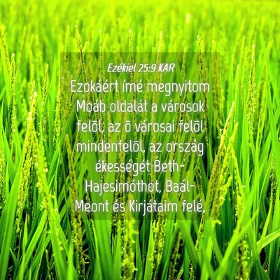 Picture 04 - Ezékiel 25:9 KAR - Ezokáért ímé megnyitom Moáb oldalát a - Bible Verse Picture