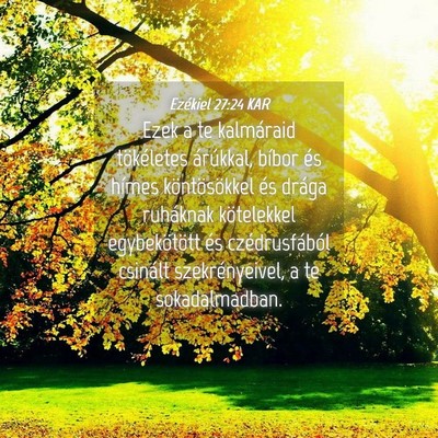 Picture 04 - Ezékiel 27:24 KAR - Ezek a te kalmáraid tökéletes árúkkal, - Bible Verse Picture