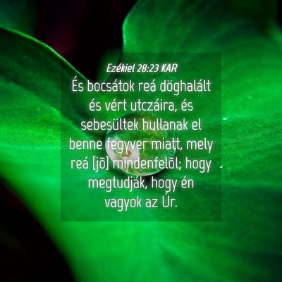 Picture 04 - Ezékiel 28:23 KAR - És bocsátok reá döghalált és vért - Bible Verse Picture