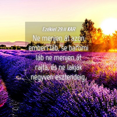 Picture 04 - Ezékiel 29:11 KAR - Ne menjen át azon emberi láb, se baromi láb ne - Bible Verse Picture