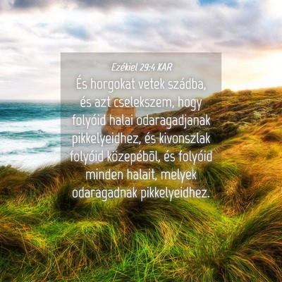Picture 04 - Ezékiel 29:4 KAR - És horgokat vetek szádba, és azt cselekszem, - Bible Verse Picture