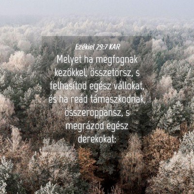 Picture 04 - Ezékiel 29:7 KAR - Melyet ha megfognak kezökkel, összetörsz, s - Bible Verse Picture