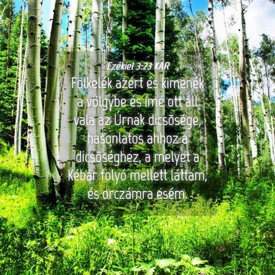 Picture 04 - Ezékiel 3:23 KAR - Fölkelék azért és kimenék a völgybe és - Bible Verse Picture