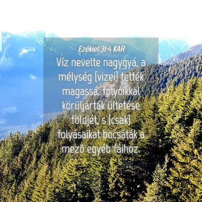 Picture 04 - Ezékiel 31:4 KAR - Víz nevelte nagygyá, a mélység [vizei] - Bible Verse Picture