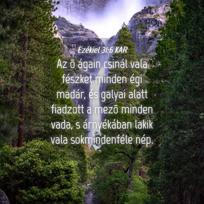 Picture 04 - Ezékiel 31:6 KAR - Az õ ágain csinál vala fészket minden égi - Bible Verse Picture