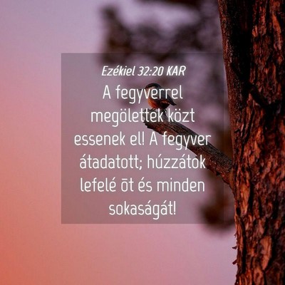 Picture 04 - Ezékiel 32:20 KAR - A fegyverrel megölettek közt essenek el! A - Bible Verse Picture