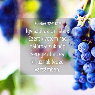 Picture 04 - Ezékiel 32:3 KAR - Így szól az Úr Isten: Ezért kivetem rád - Bible Verse Picture