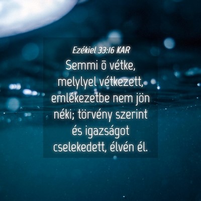 Picture 04 - Ezékiel 33:16 KAR - Semmi õ vétke, melylyel vétkezett, - Bible Verse Picture