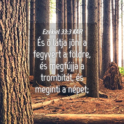 Picture 04 - Ezékiel 33:3 KAR - És õ látja jõni a fegyvert a földre, és - Bible Verse Picture