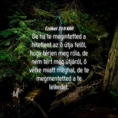 Picture 04 - Ezékiel 33:9 KAR - De ha te megintetted a hitetlent az õ útja - Bible Verse Picture