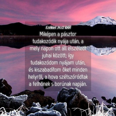 Picture 04 - Ezékiel 34:12 KAR - Miképen a pásztor tudakozódik nyája után, a - Bible Verse Picture
