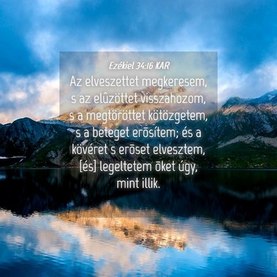 Picture 04 - Ezékiel 34:16 KAR - Az elveszettet megkeresem, s az elûzöttet - Bible Verse Picture