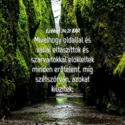 Picture 04 - Ezékiel 34:21 KAR - Mivelhogy oldallal és vállal eltaszíttok és - Bible Verse Picture