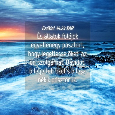 Picture 04 - Ezékiel 34:23 KAR - És állatok föléjök egyetlenegy pásztort, - Bible Verse Picture