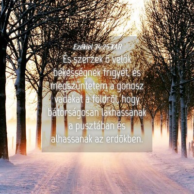 Picture 04 - Ezékiel 34:25 KAR - És szerzek õ velök békességnek frigyét, és - Bible Verse Picture