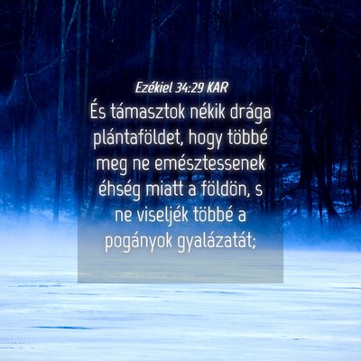 Picture 04 - Ezékiel 34:29 KAR - És támasztok nékik drága plántaföldet, hogy - Bible Verse Picture
