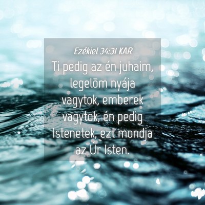 Picture 04 - Ezékiel 34:31 KAR - Ti pedig az én juhaim, legelõm nyája vagytok, - Bible Verse Picture